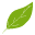 Vitavia Greenhouses logo