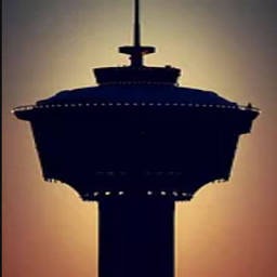 Calgary Binz Inc logo