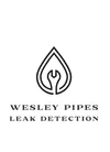 Wesley Pipes Leak Detection logo