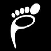 Precious Memories logo
