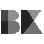 us.bravekid.com logo