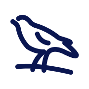 West Bromwich Albion logo