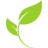 Clearground Limited logo