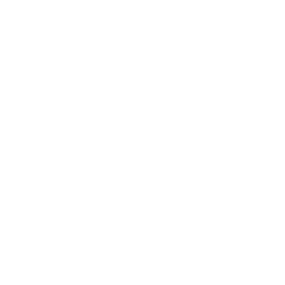 BriggrTech logo
