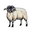 Glencroft logo