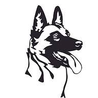 Next Level Dog Training logo