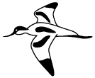 Avocet Cleaning Services Ltd logo