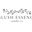 Blush Essence Candle Co. logo