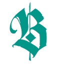 Bulkshacks logo