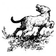 Pentland Hills Gin logo