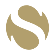 David Salisbury logo