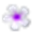 Hawaii Car Transport logo