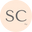 saltycoau.com logo