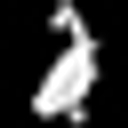 BristolAnglingCentre logo