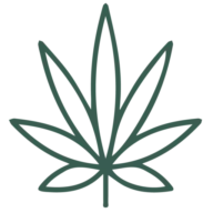 Cannabis Packaging Boxes logo
