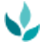 GPA Wholefoods logo