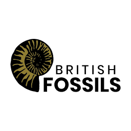 British Fossils logo