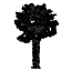 The Palm Centre logo