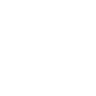 195 Trips logo