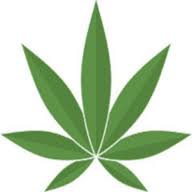 revitaoil.com logo