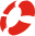 The Lifeguard Store logo