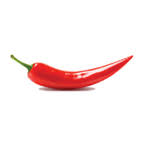 Thechillidoctor logo