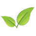 Enviropass logo