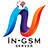 IN GSM TEAM logo
