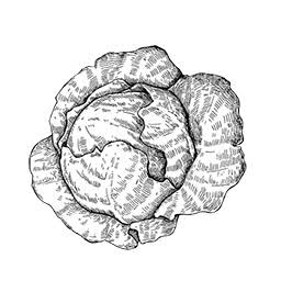 Veg By Nature logo
