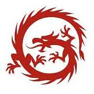 Dragon Logistics logo