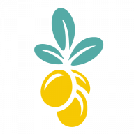 Olvioh logo
