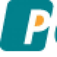 Paytiz logo
