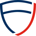 FISK GROUP logo