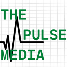 PulseMedia Limited logo