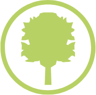 The Neem Tree Dental Practice logo