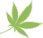 Kupa Grass logo