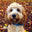 BlossomCo logo