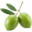 Kolympari EVOO logo