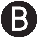 BRONZE SNAKE logo