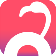 Flamingo Tech logo