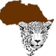Bigmacafricasafaris logo