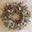 The Dried Flower Shop logo