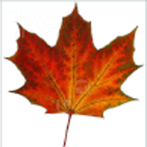 Chtools logo