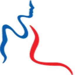 britanniasecuritygroup.com logo
