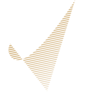 Business-Tickets.com logo