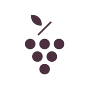 Us Caudalie logo