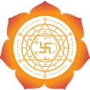 USA Astrologer(Vedicrealms.com) logo