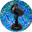 spectrumlaserlights.com logo