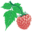 Salmon Berry Tours logo