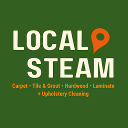 Local Steam logo